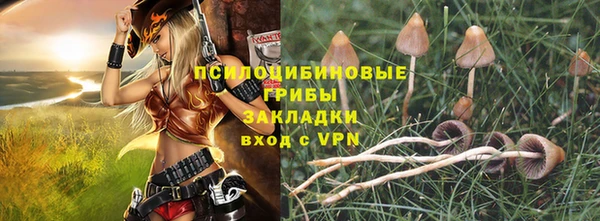 стафф Новозыбков